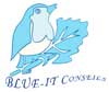 BLUE-IT Conseils